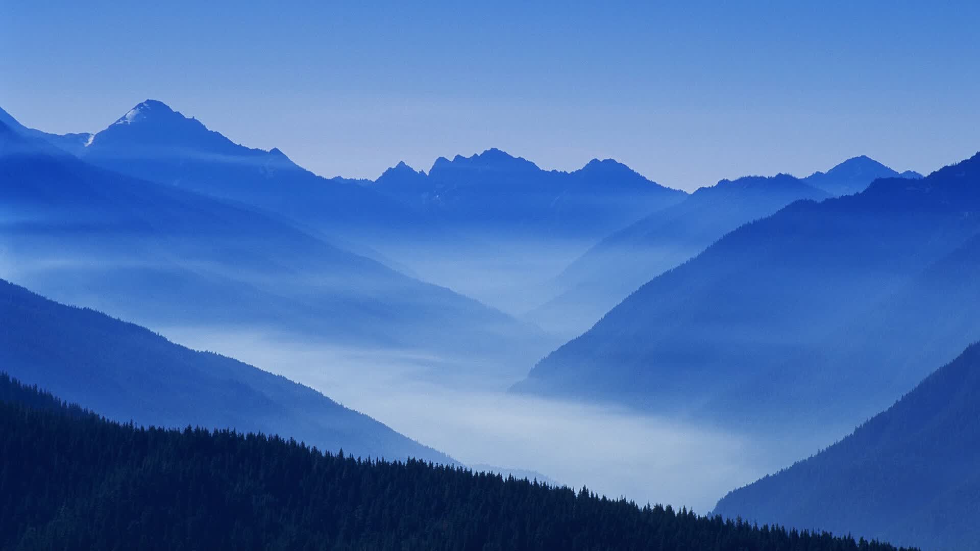 世界游艇挑战赛后勤团队获行业奖励,世界游艇排名